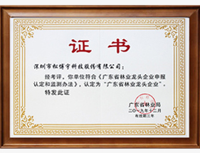 26项专利及强大技术工艺支持