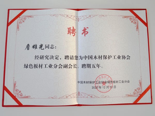 10大品牌板材金彩汇-绿色板材工业分会副会长