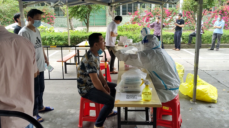 金彩汇全员绿码