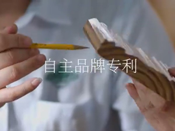 金彩汇公司网站视频